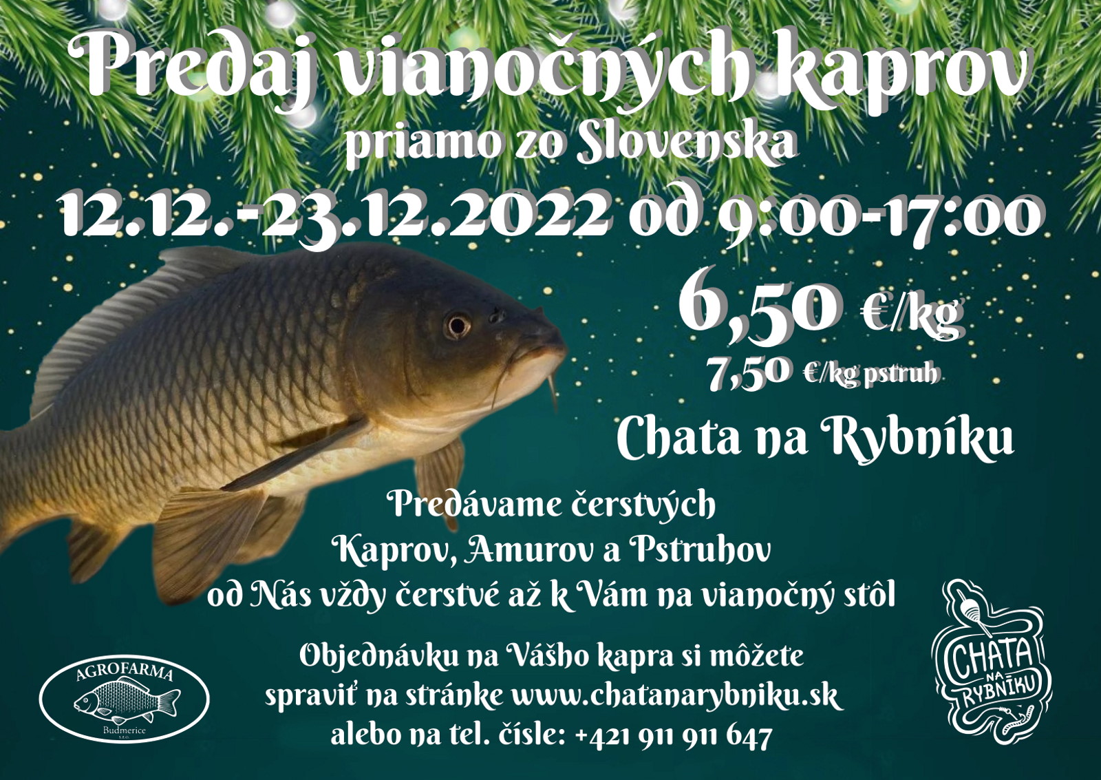 Predaj vianočných kaprov, Chata na Rybníku, 12.12.-23.12.2022 od 9:00-17:00